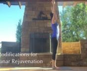 We have a new addition to the extensive Surya Namaskar Asana Digest: Variation Videos. Now you can efficiently view and study a vast number of ways to vary Surya Namaskar A (