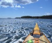 Registered Maine Guides have a long, rich history and are nationally-recognized as providing a very high standard in outdoor skills and know-how.nnMaine Kayak will be offering a six-day Sea Kayaking Guide Course on May 28 – 30 and June 3-5, 2016 for participants who are looking to lead sea kayaking day trips and overnight trips in the State of Maine.We also have a fall course on October 14-16 and 21-23, 2016.nnOur Registered Maine Sea Kayak Guide Course will cover a variety of topics, includ
