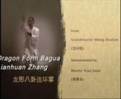 Master Xiao Jiaze (肖家泽from China’s western Sichuan Province demonstrates the Dragon Form Bagua Lianhuan Zhang (龙形八卦连环掌) he learned from Grandmaster Wang Shutian (王树田).nnTo Learn more see the article —Mixing Martial Arts: Kung Fu StylenBy Gene Ching and Gigi OhnnPublished in the November + December 2015 issue of Kung Fu Tai Chi magazine. Purchase the issue online: http://www.martialartsmart.com/kf-200191.htmlnor download it via Zinio:https://www.zinio.com/www/b