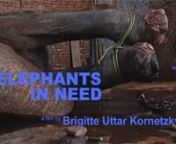 The key film to ban elephant rides in Jaipur, and in general.nFilm excerpts from „Where the Elephant Sleeps“, were shown at the Supreme Court in New Dehli, India, on Dec 8, 2015.nAccording to severe violations in the elephant welfare since decades in the country, especially Rajasthan, Goa and Kerala, on Dec 8, 2015, the Hon`ble Supreme Court passed new orders, which amongst other, were forwarded to the government of Rajasthan to put a ban on elephant rides in Elephant Village and Amer Fort,