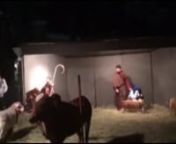 Who knew goats did improv? Things got a bit lively at PHPC’s Living Créche Tuesday evening. Thanks to member Amber Talton for sharing her video.Another great addition to the narrative of our church!