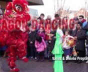 Jump into the Chinese New Year of the Monkey with a Free Family Party at The Potteries Museum. nHighlights of the celebration include traditional music and dance including Dragon and Lion dance performances. Other activities include family Chinese craft activities, Cantonese Opera, Tai Chi demonstrations and much more. 