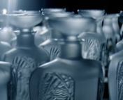 BELUGA EPICURE By LALIQUE from epicure
