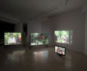 On Choosing an Appropriate Distance, 2016n4 - Channel Videoinstallation by Emanuel MathiasnnProject Primatologist - On choosing the appropriate distance by Emanuel Mathias positions the artist as a participant observer in the fieldwork research in Indonesia. He is invited to accompany a group of primatologists and ethnologists while they research the habits of primates and their interaction with the humans. The primates research and the art project are directly intertwined because they both util