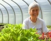 Learn about the women behind Potomac Vegetable Farms (PVF) and how they produce and market their locally grown vegetables in the DC/Maryland/Virginia region.nnRoles: Producer, Cinematographer,Alexandria Film Festival; Bethesda Film Festival
