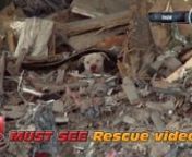 Hope For Paws, Waste Management and L.A Animal Rescue teamed up to save Thor from a very dangerous location!nPlease SHARE his video so we can find him an amazing home!nhttp://www.HopeForPaws.orgnhttp://www.LAAnimalRescue.orgnhttp://www.WM.com