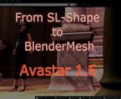 This Video demonstrates the following workflow: n- Download an Avatar Shape as XML file from Second Lifen- then import this shape to Blender as a new Avastar character. n- Modify the Avastar Mesh and n- upload the final result back to Second Life.