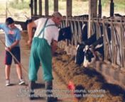 Soy Félix Aras y junto con mi hermano, Mikel, llevamos una explotación de vacuno de leche en Karrantza que se llama El Molino. Esto es una explotación que ahora mismo está manejando de alrededor de 140 vacas en ordeño, con 2 robots. Hacemos unos 150.000 litros de leche al mes. Estamos colaborando en un proyecto para controlar la alimentación, el confort animal, manejo, reproductivo, materias primas que comen las vacas... Todo. Es al final para hacer más eficientes las explotaciones ganade