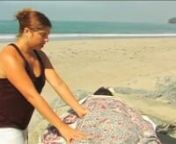 Santa Barbara Bodyworks Swedish massage protocol demonstrated by Amber!