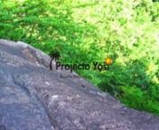 ProjectoYOSI presents Venezuela Guiana Highlands and Angel Falls Trip. ProjectoYOSI is an organization for the purpose of sustainable development and environmental protection.　地球最後の秘境ベネズエラ・ギアナ高地。ProjectoYOSI（プロジェクトヨシ）が送るベネズエラギアナ高地エンジェルフォールツアー。特別な場所へ、秘密の土地へご案内します。ProjectoYOSIは南米の持続的な環境保全と所得の向上を目的とした