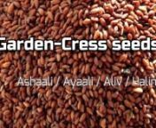 Garden cress seeds are indeed a wonder seed, but its benefits are quite unknown. Please find here the huge benefits of the garden cress seeds here and also how to consume them through some great recipes.nnhttps://indidiet.com/garden-cress-seeds-benefits/nnStay Connected with Indidiet through: nRecipe Blog: https://www.indidiet.comnRecipe videos: www.youtube.com/c/indidietnFacebook: www.facebook.com/theindidiet/nTwitter: www.twitter.com/indi_diet