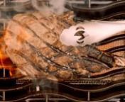 Napoleon&#39;s Grill Home Page Video includes videos from our Portable Grills, Prestige and Prestige PRO Grill Products. To Learn more about our these products and more please visit our website at https://napoleonproducts.com.