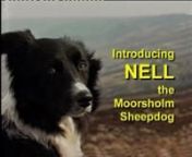 An introduction to Nell the Sheepdog, and her three films about her North York Moors and Coast.