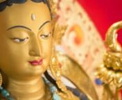 Homage To Tara Lhamo Özer Chenma: Goddess Endowed With Light Who Replenishes the Longevity and Life Force of the Sick. Please enjoy this video of the twenty-first Tara. Over the coming weeks we will be presenting all Twenty-One Taras with a video and her accompanying mantra. Join us for the