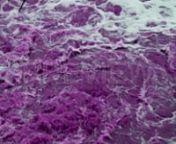 Get 100&#39;s of FREE Video Templates, Music, Footage and More at Motion Array: http://bit.ly/2SITwWM nnnGet this here: https://motionarray.com/stock-video/chemical-discharges-186510nnChemical Discharges is a stock video that shows awesome footage of purple colored water mixed with chemicals coming from a chemical waste disposal company. This 1920x1080 (HD) footage will look stunning in any video project that relates to chemicals, pollution and global warming. Include this footage in your next edit,