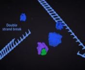 Short chapter from the Mechanism of Action of PARP inhibitors and Targeting DNA Damage Response (DDR) video