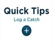 Here&#39;s a quick video to show how to log a catch in the FishAngler App.nn1. Tap the