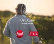 Uruguay Wine presents “Uruguay Entre Viñas”, a TV show produced by Green Power Media, Food Network and Discovery Travel &amp; Living Channel that gathers the rich history of Uruguayan wines.nnThe series, divided into seven chapters and hosted by charismatic Uruguayan sommelier Charlie Arturaola, presents 16 of Uruguayan’s main wineries, which proudly show the product of their land.nnUruguay Entre Viñas will be aired by Food Network LATAM and Discovery Travel &amp; Living Channel (TLC), r