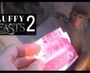 Fluffy Beasts 2: the Return of the Revenge from china jungle movie