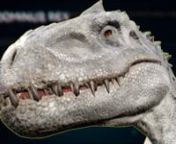 -The Dino Reveals are a series of more than 30 species reveals videos done for Jurassic World Evolution.nnCredits:n-VO Designn-Music Editingn-UI Sound Designn-Sfx Editn-Mix