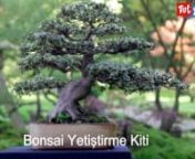 Bonsai Yetiştirme KitinEvinizde kendi Bonsai ağacınızı yetiştirebilirsiniz.nBunu yapmak da son derece kolay – ihtiyacınız olan herşey bu hediye setinin içerisinde.nBu güzel ve zarif ağacı kendi evinde yetiştirmekten daha güzel ne olabilir?nPaket içerisindeki tohumları ekerek yetiştirmeye hemen başlayın.nnnnKutu içerisinde ne var?n1 paket bonsai(Seçiminize göre Erguvan veya Karaçam) tohumunSaksı için yeterli olacak kadar topraknMinyatür mini saksısınEkim ve bakım k