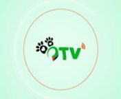 Canal QTV chamada from chamada