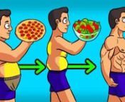 These are the 3 best diets to lose weight &amp; belly fat fast. Find out what foods to eat to burn stubborn fat quickly. Also find out what diets actually work for weight loss and fat loss even without much exercise.nFREE 6 Week Challenge: http://bit.ly/2RdX9Dy?utm_source=vime&amp;utm_term=bestnnTimestamps:n#1 Best Diet: Fasting 2:52n#2 Best Diet: Ketogenic Diet 4:41n#3 Best Diet: Carb Cycling 5:35nnToday I&#39;m going to share with you the three best ways to easily lose belly fat and overall body f