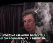 Elon Musk fuma marihuana durante entrevista en vivo from elon