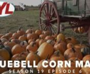 On this week&#39;s episode, we head to the Blue Bell Corn Maze for everything Halloween! This is the Utah Basin&#39;s destination for fall fun with an eight-acre corn maze, pumpkin patch, separate haunted maze and countless farm activities! Bring the whole family for the 20th season celebration! Tickets at www.bluebellcornmaze.com. nnWhere To: nContinue your family&#39;s Halloween fright fest with a stop at the infamous Asylum 49, a nationally-recognized haunted hospital so eerie, even Travel Channel&#39;s Ghos