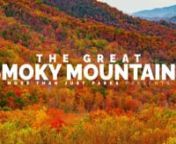 MTJP &#124; Smoky Mountains is a visually stunning journey through Great Smoky Mountain National Park during peak fall color.nnThis video is the culmination of two weeks exploring Great Smoky Mountains National Park. We chose Great Smoky Mountains as our second park because of it&#39;s extraordinary display of fall colors, it&#39;s incredibly diverse wildlife population, and it&#39;s importance as the most visited national park in the country. This film was shot entirely in 4K.nnTo see our Zion National Park sho