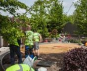 Highlights from our last 4 years working on various projects at the RHS Chelsea Flower Show 2016-2019