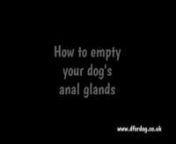 In this video we show you how to empty your dog&#39;s anal glands safely and easily at home using the external method.