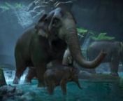 A collection of some of the work I did on Uncharted: The Lost Legacy, Mafia 3, and Xcom-2. I should note that for the jeep-takeover scene and the elephant pool scene, I animated only the characters in focus. That is, the three characters in the jeep and the two elephants (adult and baby) up front.nThanks for watching!