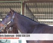 This video is about 2017 June Magic Millions Real Saga x Nina Mary - Anderson Racing