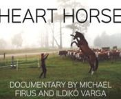 Documentary by Michael Firus: https://michaelfirus.com/nContact for professional collaboration in the above website link. nThere is no real logic in horse riding; a 1200 pound animal that could seriously injure you in many different ways... it poses such a risk.nYet the partnership that you gain, the rush of a gallop and the synchronicity of your bodies... it&#39;s a language of its own. It is worth being human for.nnShot, Edited and Produced by Michael Firus nDirected by Michael Firus and Ildiko