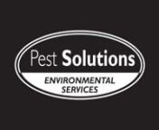 Pest Control Service Edinburgh - https://www.pestsolutions.co.uk/pest-control-edinburghnnPest Solutions Edinburgh - Bird Control - Pest Control EdinburghnnOur Edinburgh Pest Solutions team are waiting to assist you with any Pest Control needs. Situated within Scotland’s capital, Edinburgh, and servicing all of the East of Scotland we deliver a speedy, discrete and affordable range of pest control services. This local branch covers all of Edinburgh, Midlothian, East Lothian, West Lothian, Fife