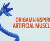 Artificial muscles could make soft robots safer and stronger. Researchers at the Wyss Institute, Harvard SEAS, and MIT CSAIL have developed a novel design approach for origami-inspired artificial muscles, capable of lifting 1000x its own weight.nnThe muscles are made of a compressible skeleton and air or fluid medium encased in a flexible skin, and are powered by pressure difference. The muscle motions are programmed based on the structural geometry of the skeleton. Multi-directional motions can