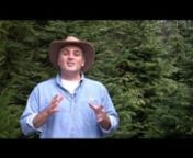 A Teaser Video for the DVD: Basic Beekeeping from www.WorldOfBeekeeping.com.nnSo what&#39;s actually going on inside the hive?We explore the three types of bees and what their roles are.