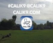 Take a peek at Bay Area dog trainer Jas Leverette, owner of Cali K9® in San Jose, CAnnSee what goes on in the world of dog training in the Bay Area to California K9 Solutions® - Bay Area Dog Trainers. Call 408.770.7556 or email training@calik9.com#calik9 #sanjose #dogtrainer #dog #training nnCalifornia K9 Solutions® - Cali K9® – https://calik9.com - 408.770.7556 #calik9 nnBay Area Dog Training - Dog Training San Jose - Bay Area Dog Trainer #calik9trainednDog Obedience, Behavior, Aggressi
