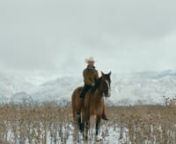 Brady Jandreau is a young Lakoda Sioux cowboy and bronco rider. After suffering a potentially career ending trauma, he travels deep into the Patagonian highlands, on a quest for spiritual renewal.nnClient: Marriott https://traveler.marriott.com/storybooked/brady-jandreau/nnDirector: Shern SharmanDirector of Photography: Anna Franquesa-SolanonEdited by: Mah FerraznComposer: Andrew KeoghannnProduced by: Kim Weinstein, Lauren Kritzernn1st AC: Karli Kopp, Alexey KosorukovnGaffer: Tony SurnSound Reco