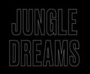 DJ - Mast Books x Paradigm Publishing Jungle Dreams 1 from dj mast