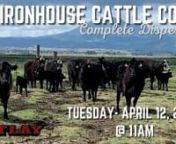 SELLING VIA VIDEO THROUGH WVM CATTLE &amp; DVAUCTION.COM ON TUESDAY APRIL 12, 2022 @ 11 AM AT TLAY.