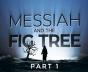 When Messiah cursed the fig tree, it withered. Why? What is the message contained in this miracle? How does the fig tree relate to moving a mountain into the sea with our faith?