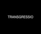 TRANSGRESSIOnnThe cross-disciplinary art project Transgressio depicts a journey of four artists based in Vienna who share an Italian ancestry. On a film-documented trip to northern Italy, they confront themselves with their roots and the possibilities of their identities. The artist’s autobiographies merge with symbolic images and archetypical scenes inspired by the works of Pier Paolo Pasolini, Italo Calvino and the Holy Bibel. They get tempted, and ‚baptized‘, confused and liberated on t