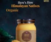 Pure Himalayan Natives A2 cow milk is used to make Desi cow ghee. Pure cow ghee comes in 250 ml and 1 lite pack sizes.n 100% natural A2 cow ghee, also known as a2 ghee, desi ghee, or bilona cow ghee.nn For More Details-n https://himalayannatives.com/product/cow-gheenn #PureCowGheen #CowGheen #BestCowGheen #BestPureCowGheen #CowMilkGhee