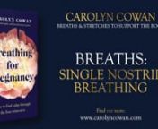 Breathing through a single nostril can be worked with in a number of ways, several of them explored within this video. nnBest enjoyed alongside the book, get a copy of it here: nnhttps://amzn.eu/d/9fPpfw1 nnPlease note that by taking part in this series, you agree to my terms and conditions and have noted the medical disclaimer, which is copied below.nnI very much hope that you find the book, and these videos, a source of comfort and support during your pregnancy and postnatal period. nnIf yo