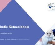 In this Nurse Club CPD, RVNs Sophie Lee and Ria Walker review the diagnosis, treatment and nursing considerations for patients with Diabetic Ketoacidosis. This webinar also includes a case study of a patient with DKA we recently treated.