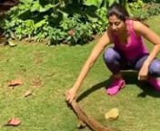 From sweeping garden to playing carrom with family: Here’s how Shilpa Shetty Kundra spent her lockdown days. The 45-year-old actress certainly made the most of her time during the lockdown. She gave her fans and followers a glimpse of all the activities. From picking up a broom to whisker in hand, the actress explored many of her talents while involving her family members as well. Shilpa Shetty Kundra posted a video of her sweeping the garden area and later, she can be seen watering the plants