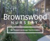 Let Brownswood Nursery transform your landscape into a beautiful and functional extension of your home that you will enjoy for years to come! The first step is booking a Landscape Design Consultation with one of our Design Consultants.nnFeatures in this Mt Pleasant, South Carolina landscape design include newly prepared garden beds with irrigation (plantings: Coral Bark Japanese Maple, LeAnn™ Cleyera, Podocarpus, George Taber Indica Azalea, Autumn Ivory® and Autumn Twist® Encore® Azaleas, C