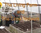 This week is full of great info!! The peas are coming out but don&#39;t worry, the beans are going in! Watch as Lynn is diligent with bug patrol. nnEnroll in the High Performance Garden Show (https://thelivingfarm.org/high-performance-garden-show/) to watch over 160 weekly episodes where Lynn Gillespie will demonstrate how she consistently creates over &#36;2500 worth of organic food in only 128 sq ft, that is about the size of 3 king size beds, with only a 15 minute a day commitment! FREE, ONLINE, AVAI